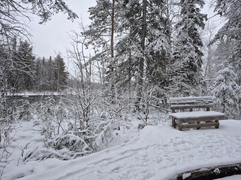 bosque finlandia vaattunki