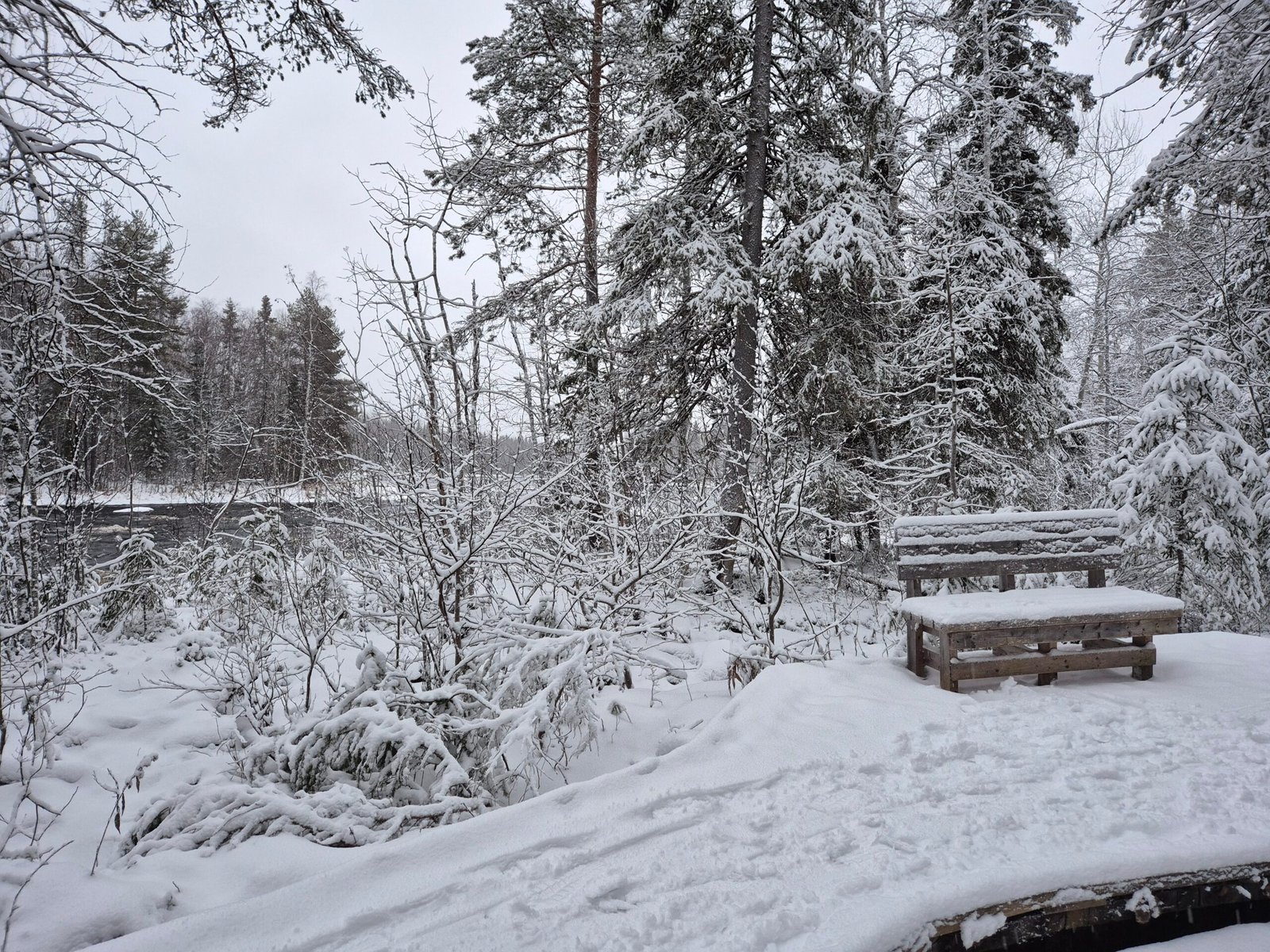 bosque finlandia vaattunki