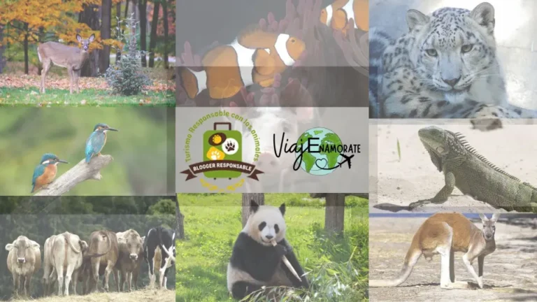 Turismo responsable con los animales